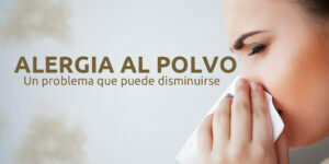 alergia al polvo | un problema que puede disminuirse blog – fumigación universal - fumigación universal, c.a - page 7 alergia al polvo | un problema que puede disminuirse