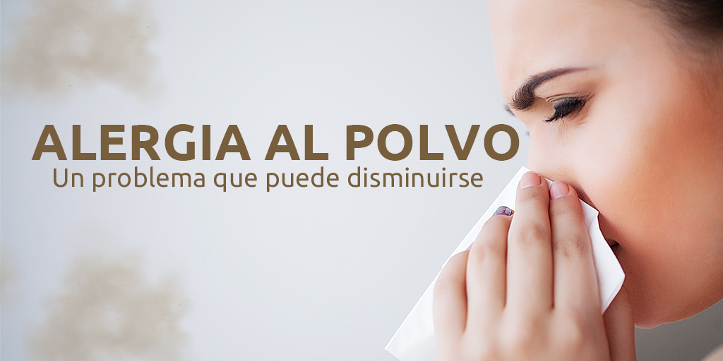 Alergia al polvo | Un problema que puede disminuirse 