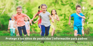 protege a los niños de pesticidas | información para padres. blog – fumigación universal - fumigación universal, c.a - page 7 protege a los niños de pesticidas | información para padres.
