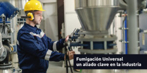 fumigación universal un aliado clave en la industria blog – fumigación universal - fumigación universal, c.a - page 7 fumigación universal un aliado clave en la industria
