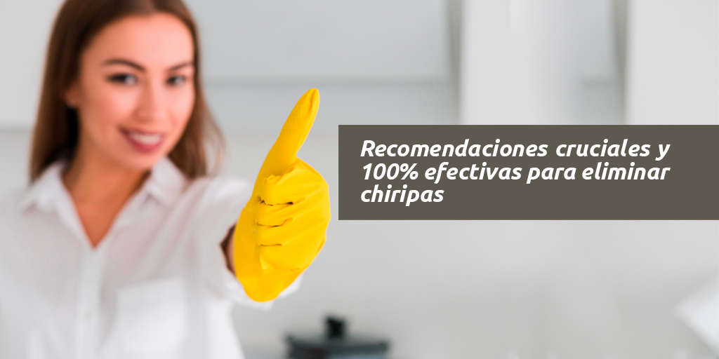 Recomendaciones cruciales y 100% efectivas para eliminar chiripas