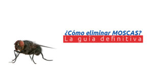 comoeliminarmoscas blog – fumigación universal - fumigación universal, c.a - page 6 