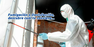 fumigación o desinfección, descubre cuál te conviene... blog – fumigación universal - fumigación universal, c.a - page 6 fumigación o desinfección, descubre cuál te conviene...