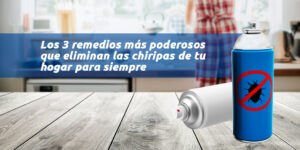 los 3 remedios más poderosos que eliminan las chiripas de tu hogar para siempre blog – fumigación universal - fumigación universal, c.a - page 6 los 3 remedios más poderosos que eliminan las chiripas de tu hogar para siempre