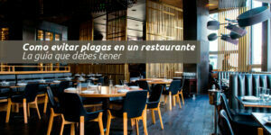 como evitar plagas en un restaurante/ la guía que debes tener blog – fumigación universal - fumigación universal, c.a - page 6 como evitar plagas en un restaurante/ la guía que debes tener