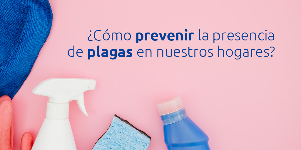 ¿Cómo prevenir la presencia de plagas en nuestros hogares?