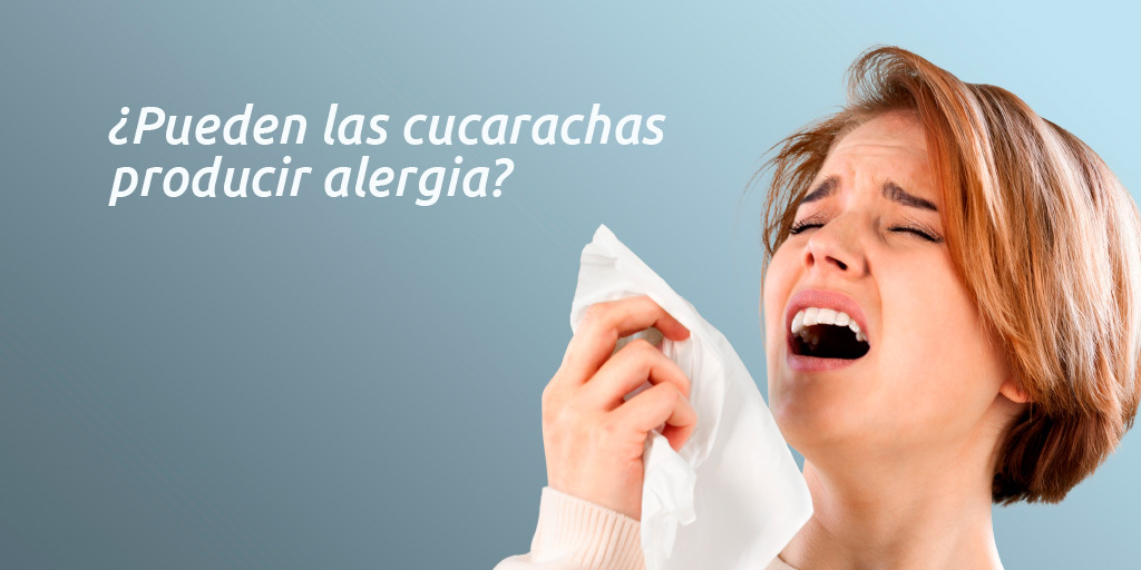 ¿Pueden las cucarachas producir alergia?