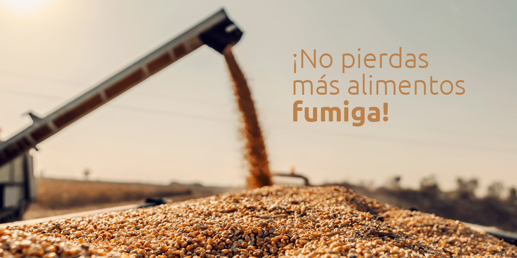 ¡No pierdas más alimentos, fumiga!