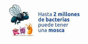 2 blog – fumigación universal - fumigación universal, c.a - page 4 