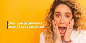 ¿por qué le tenemos asco a las cucarachas? blog – fumigación universal - fumigación universal, c.a - page 4 ¿por qué le tenemos asco a las cucarachas?
