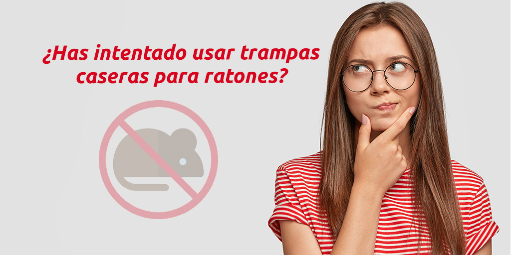 ¿Has intentado usar trampas caseras para ratones?