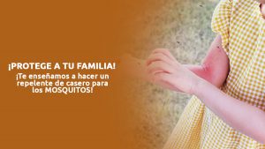 ¡aprende a hacer repelentes caseros para mosquitos! blog – fumigación universal - fumigación universal, c.a - page 4 ¡aprende a hacer repelentes caseros para mosquitos!