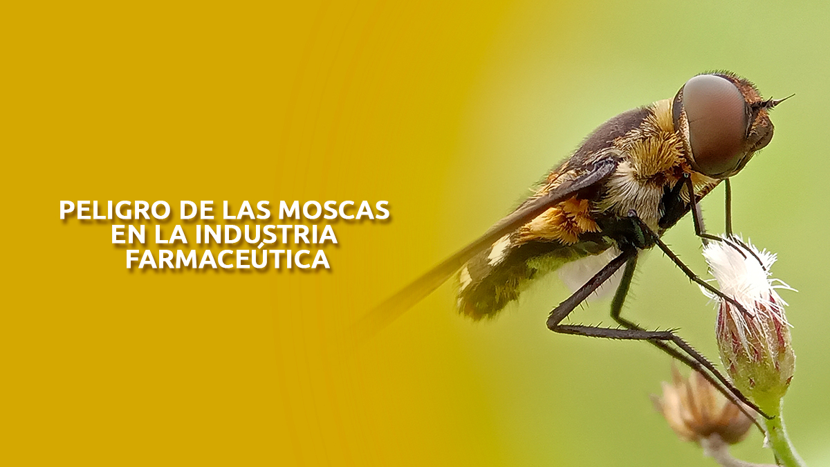 El peligro de las moscas en la industria farmacéutica - Fumigación